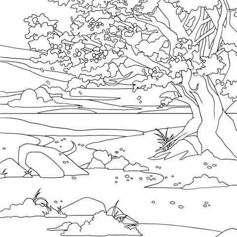 Beautiful Cherry - Blossom Tree Scenery Coloring Page