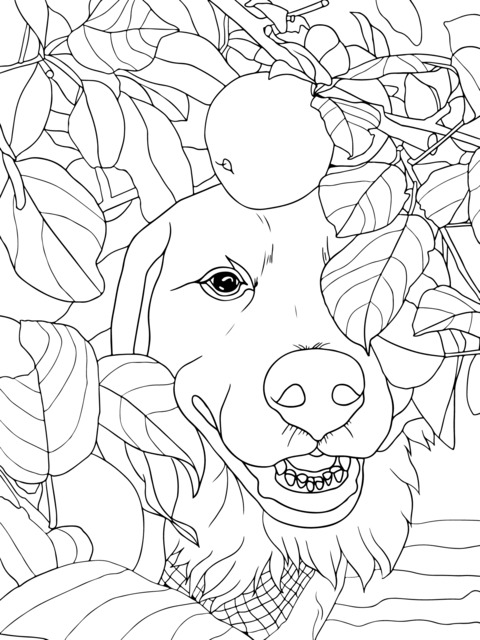 Página para Colorear de un Golden Retriever entre los Árboles de Manzanas