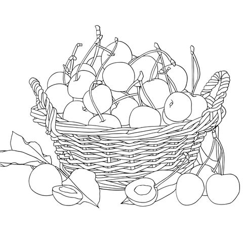 A Basket of Cherries