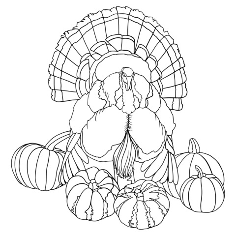 Turkey and Pumpkins Coloring Page