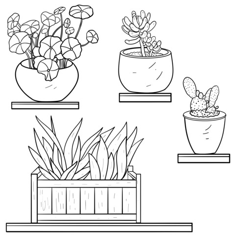 Página de Colorir de Plantas em Vasos Adoráveis