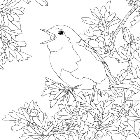 Coloring Page of a Singing Bird on a Branch