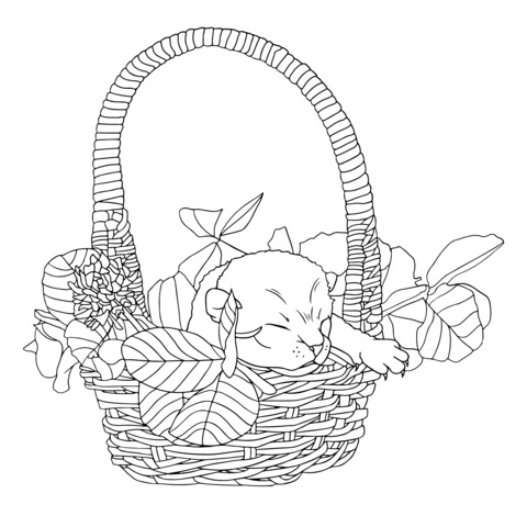 Coloring Page of a Sleeping Kitten in a Basket