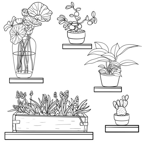 Colorful Potted Plants Coloring Page: Light Up the Green World with Colors