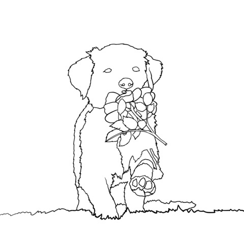 Dibujo para Colorear de un Adorable Perrito con Rosas