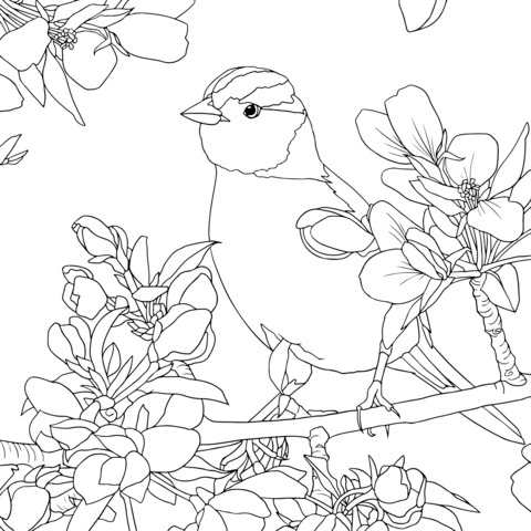 Bird and Flower Coloring Page: A Bird on a Blossoming Branch