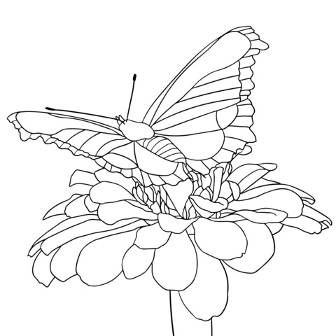 Página para colorear de mariposa soñadora y flor