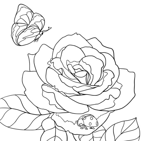 Página de colorear de rosa, mariposa y mariquita