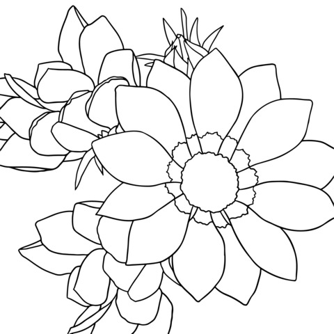 Gorgeous Orange Flower Coloring Page