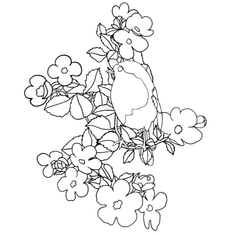 Vivid Flower - Bird Coloring Page: Colorful Bird and Blossoms