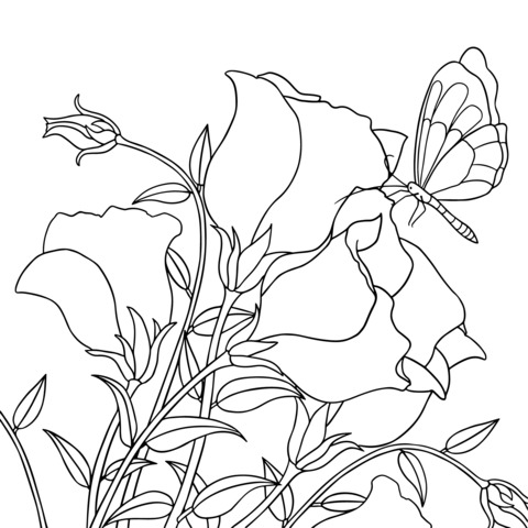 Dreamy Blue Flowers and Butterfly Coloring Page