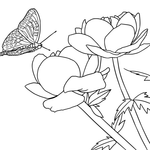 Página de Colorear de Mariposa y Flores Naranjas