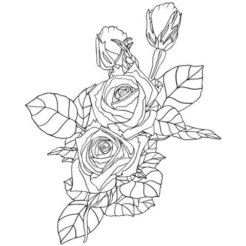 Gorgeous Rose Coloring Page