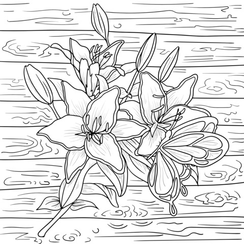 Lily and Butterfly Coloring Page on Wooden Background