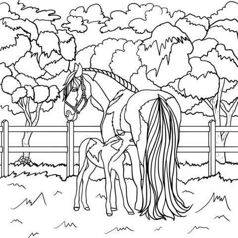 Coloring Page of Mother - and - foal: A Cozy Scene in the Countryside