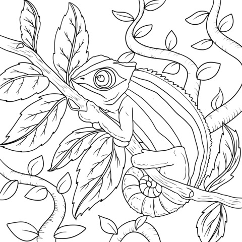 Chameleon - themed Coloring Page