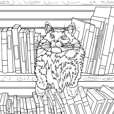 Cat on the Bookshelf