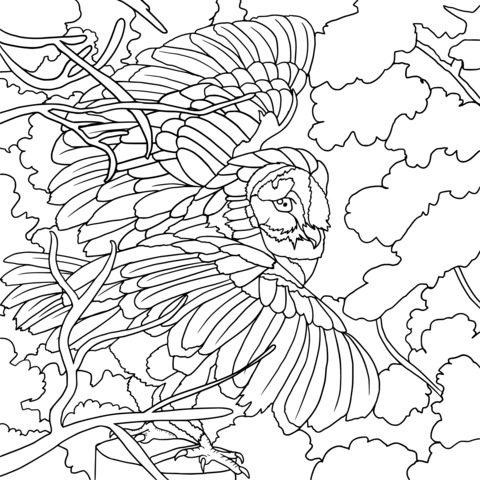 展翅猫头鹰填色页