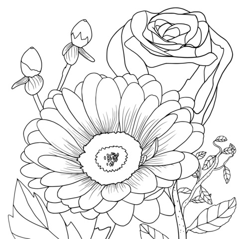 Beautiful Flower Coloring Page: Rose and Daisy