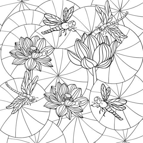 Lotus and Dragonfly Coloring Page