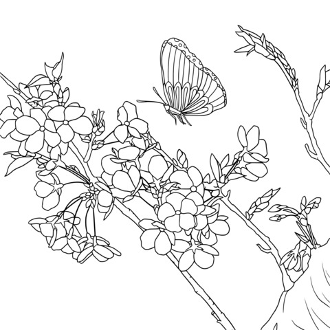 Butterfly and Blooming Flowers Coloring Page