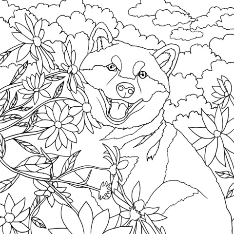 Página para colorir de um adorável Shiba Inu e flores em floração