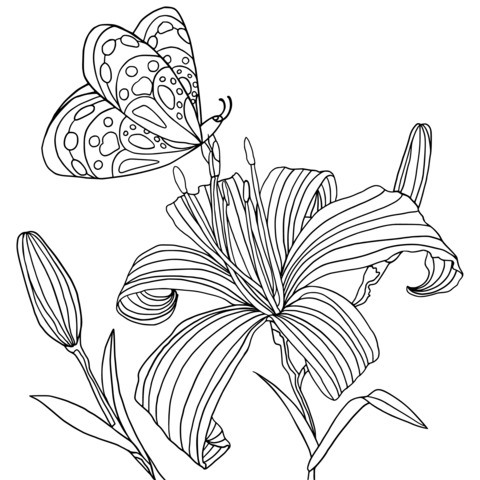 Coloring Page of a Colorful Butterfly and Lily