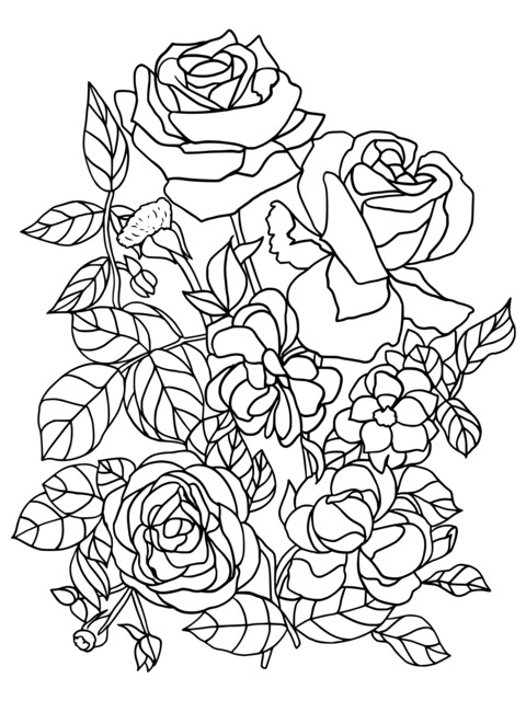 Página de colorear de flores coloridas: hermosas rosas y flores