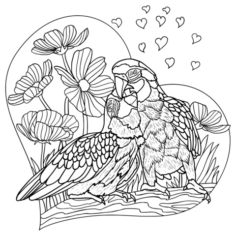 Página de colorear de loros románticos y flores