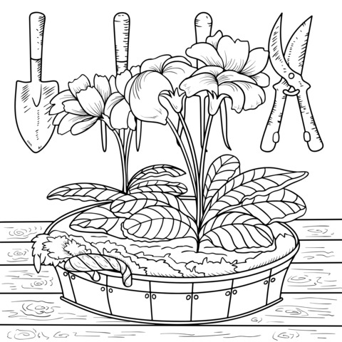 Potted Flowers and Gardening Tools