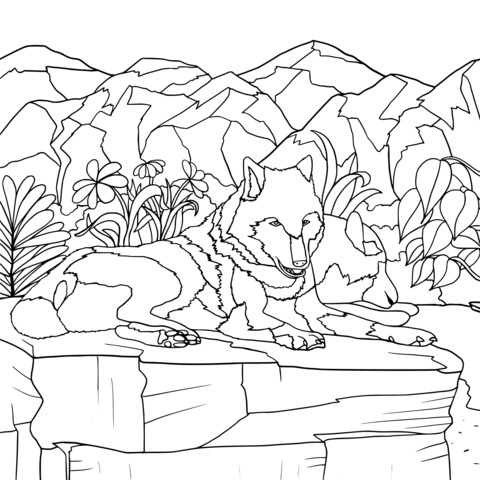 Coloring Page of Two Wolves Resting in the Mountains