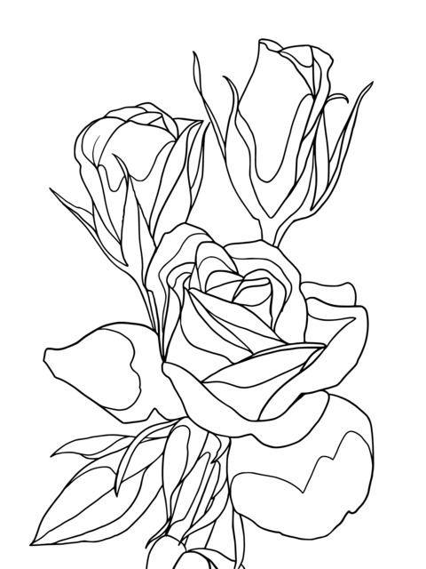 Gorgeous Yellow Roses Coloring Page