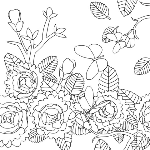 Flowers and Butterflies Coloring Page