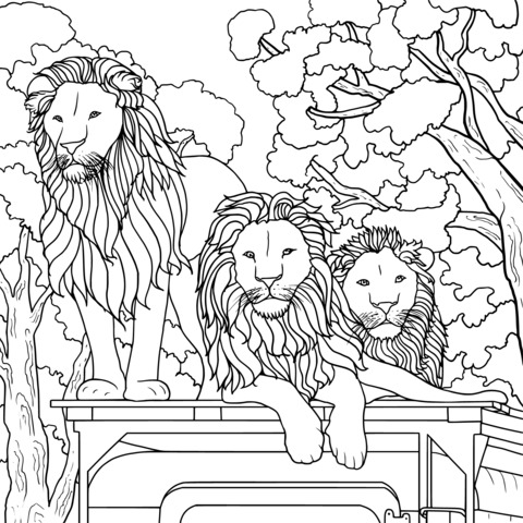 Tres leones en un vagón de dibujos animados