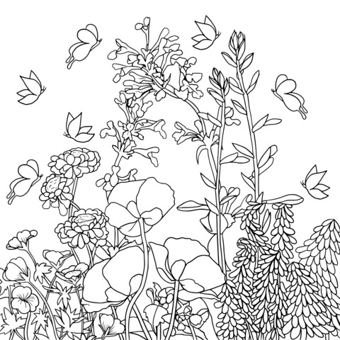 Colorful Flowers and Butterflies Coloring Page