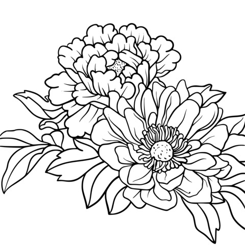 Colorful Flower Coloring Page under the Dreamy Starry Sky