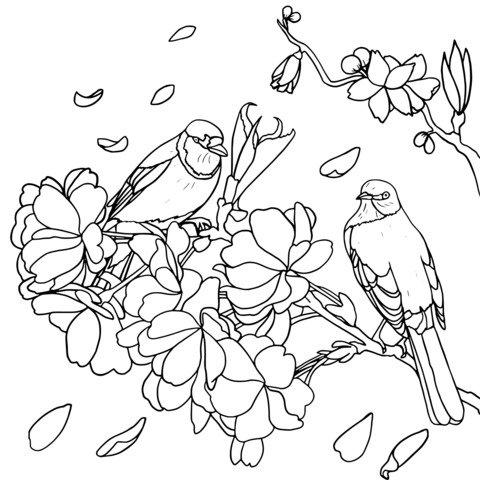 Flower - and - Bird Themed Coloring Page