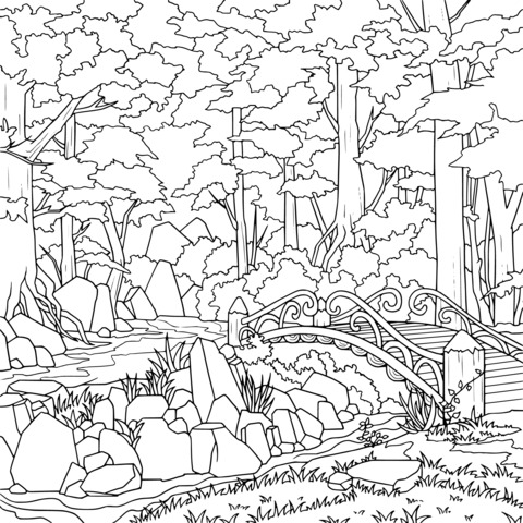 Exquisite Bridge in the Forest Coloring Page