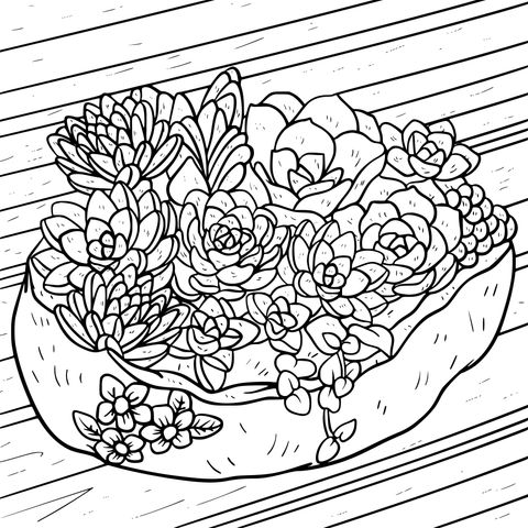 Colorful Succulent Plants Coloring Page