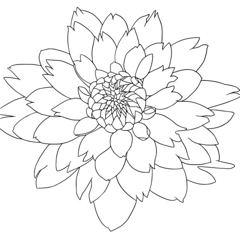 Gorgeous Flower Coloring Page