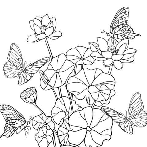 Dreamy Lotus and Butterflies Coloring Page