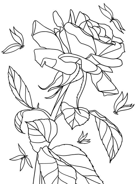 Dreamy Blue Rose Coloring Page