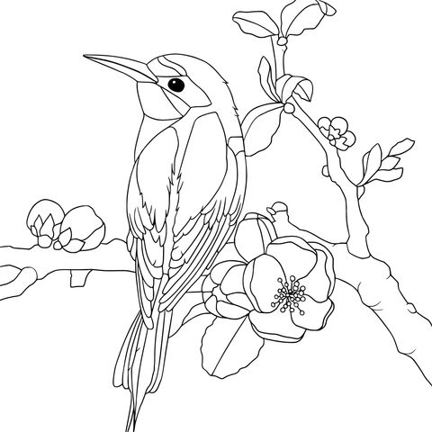 Colorful Bird and Flowers Coloring Page