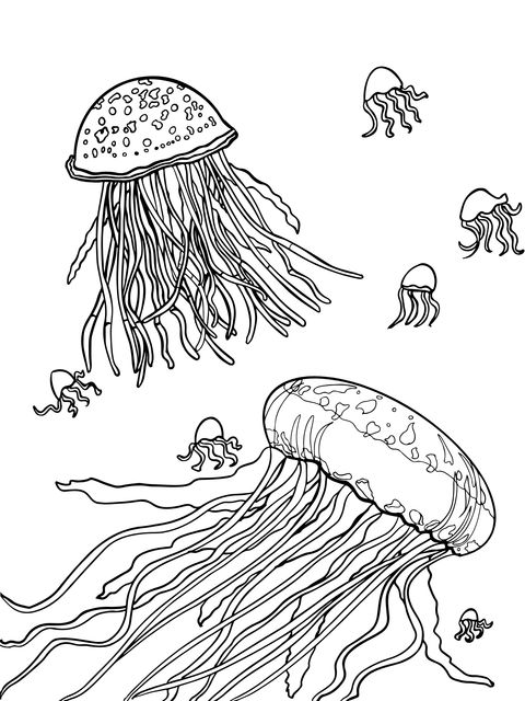 Dreamy Jellyfish Coloring Page