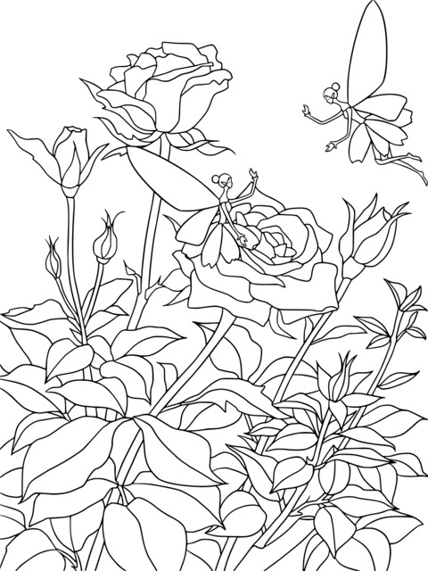 Rose and Fairy Coloring Page