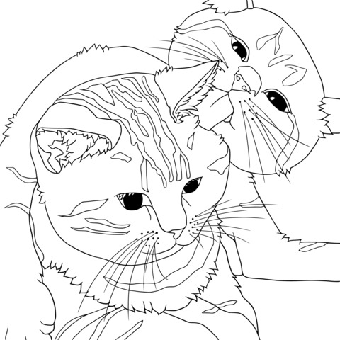 Coloring Page of Two Affectionate Cats Interacting