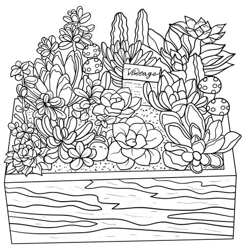 Succulent Coloring Page: The Plant World in a Colorful Pot