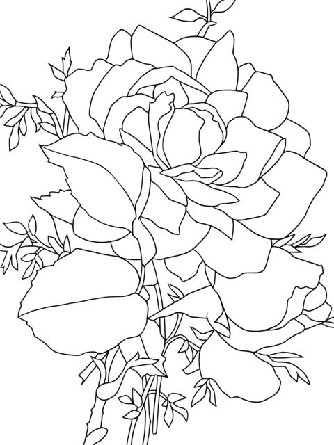 Gorgeous Rose Coloring Page