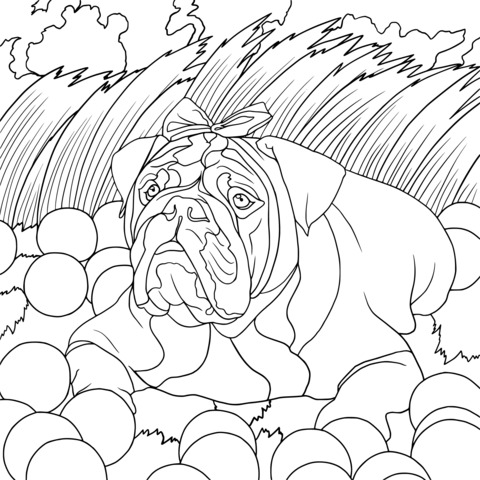 Página de Colorear de un Bulldog entre Bolas Coloridas