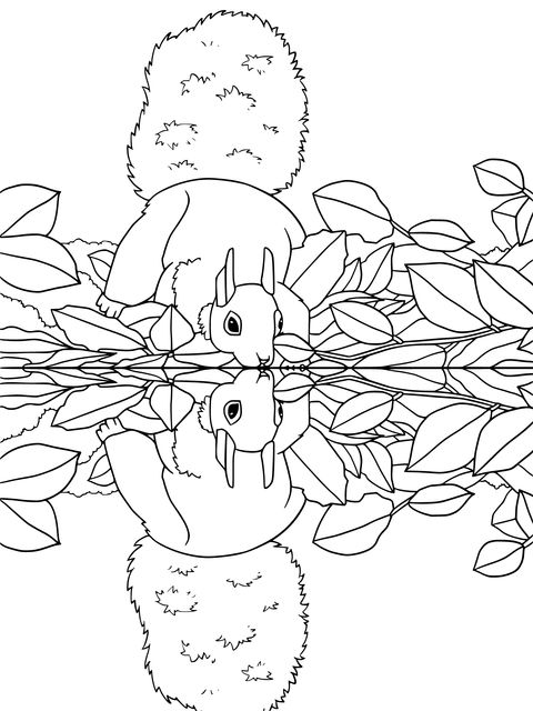 Adorable Squirrel and Reflection Coloring Page